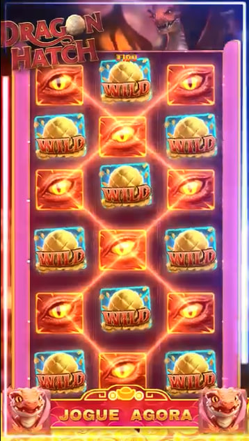 cncbet