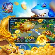 755bet net