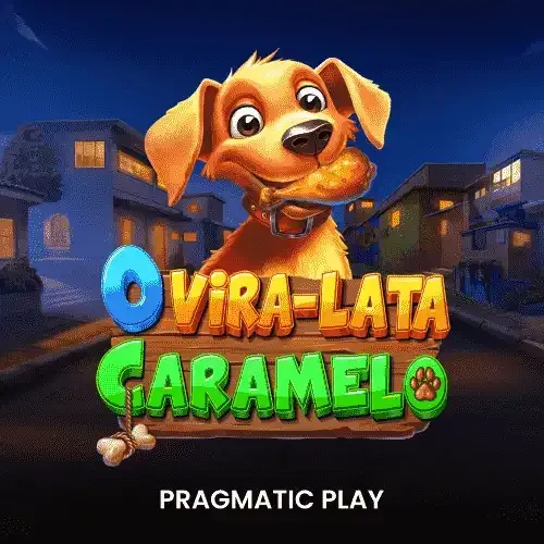 2 divisão